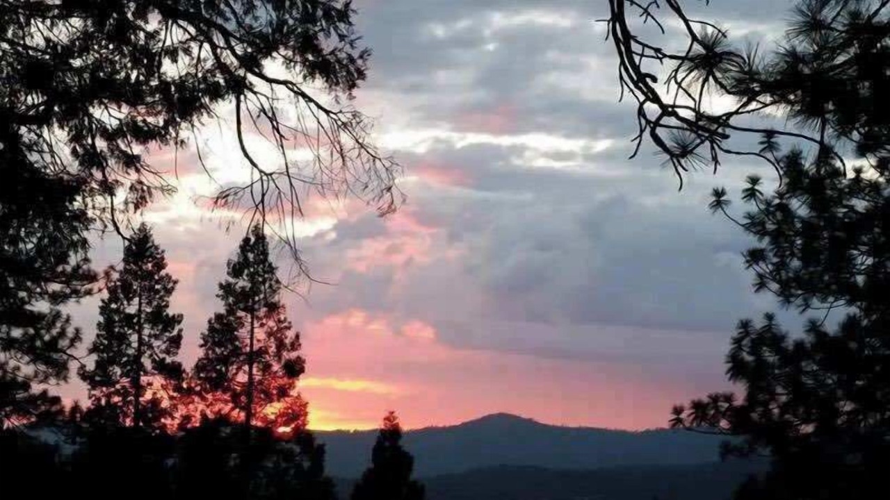 Photo of Others in Sonora