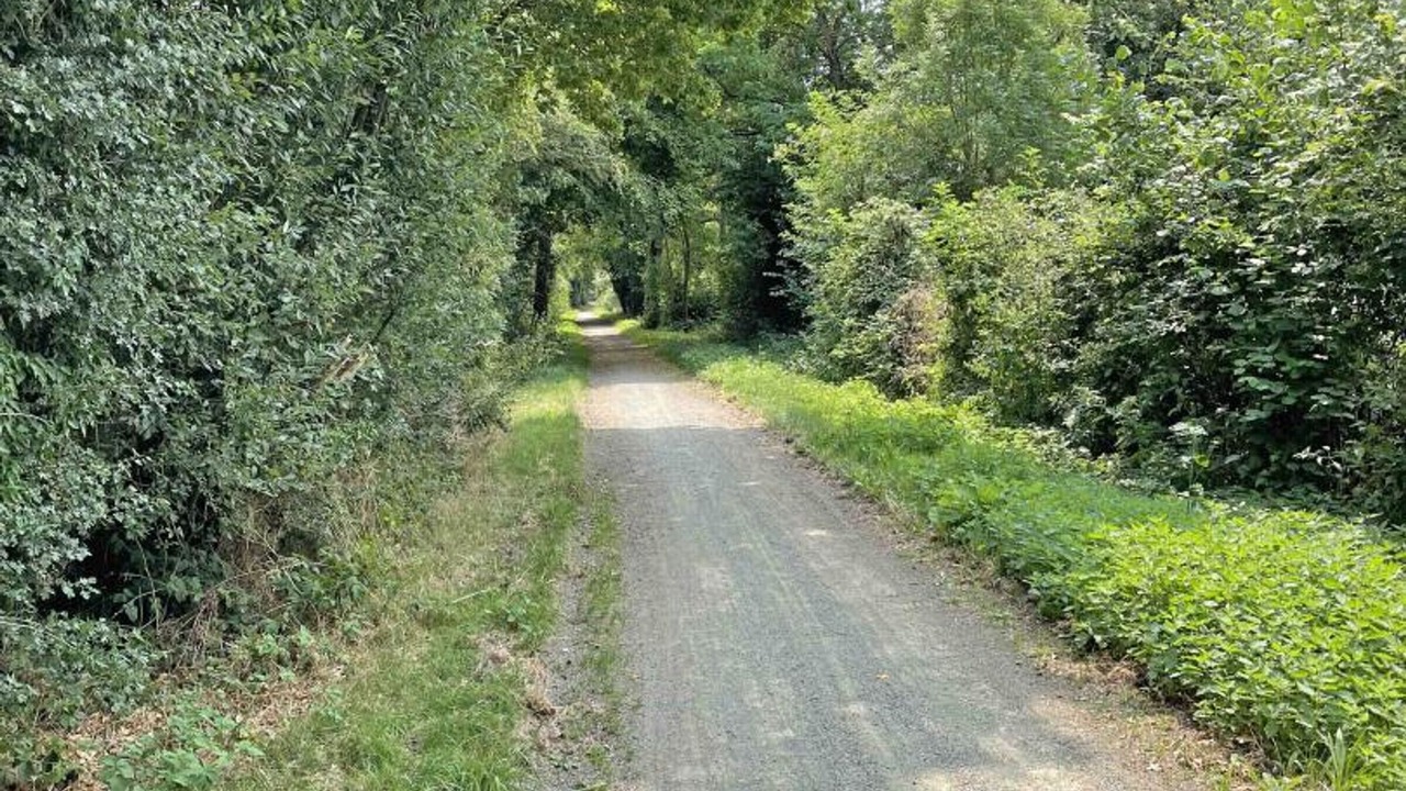 Photo of Others in Reveillon