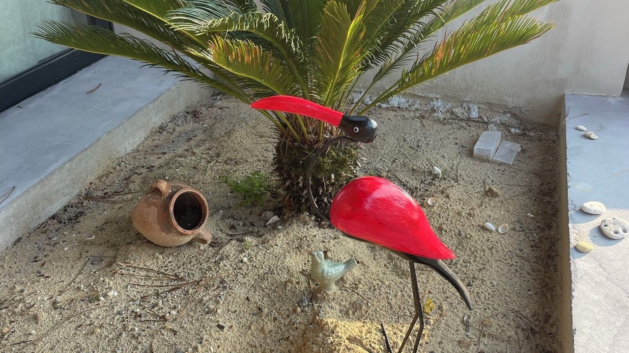 Photo of Outdoor in Lit-et-Mixe