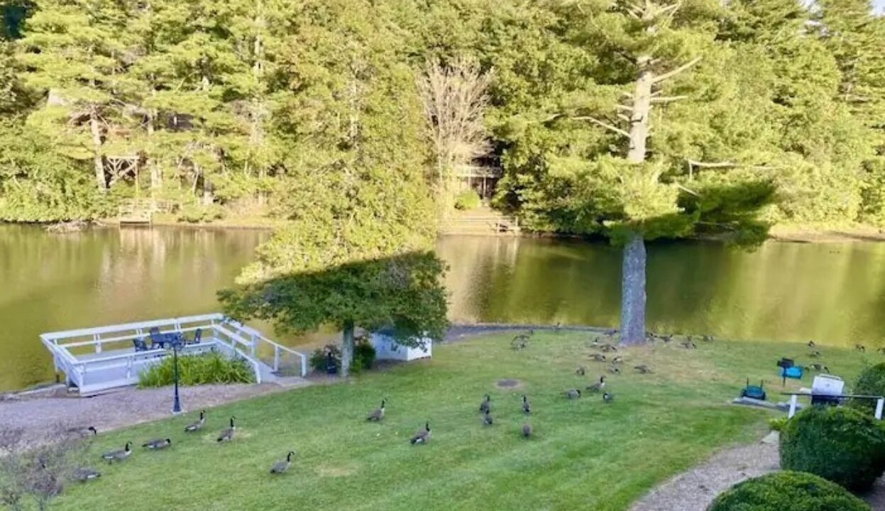 Photo of Outdoor in East Flat Rock