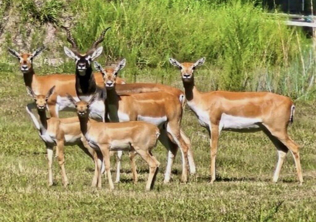 Photo of Outdoor in Salem
