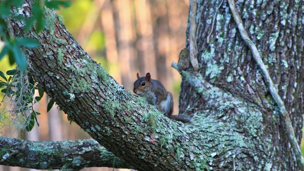 Photo of Outdoor in Salem