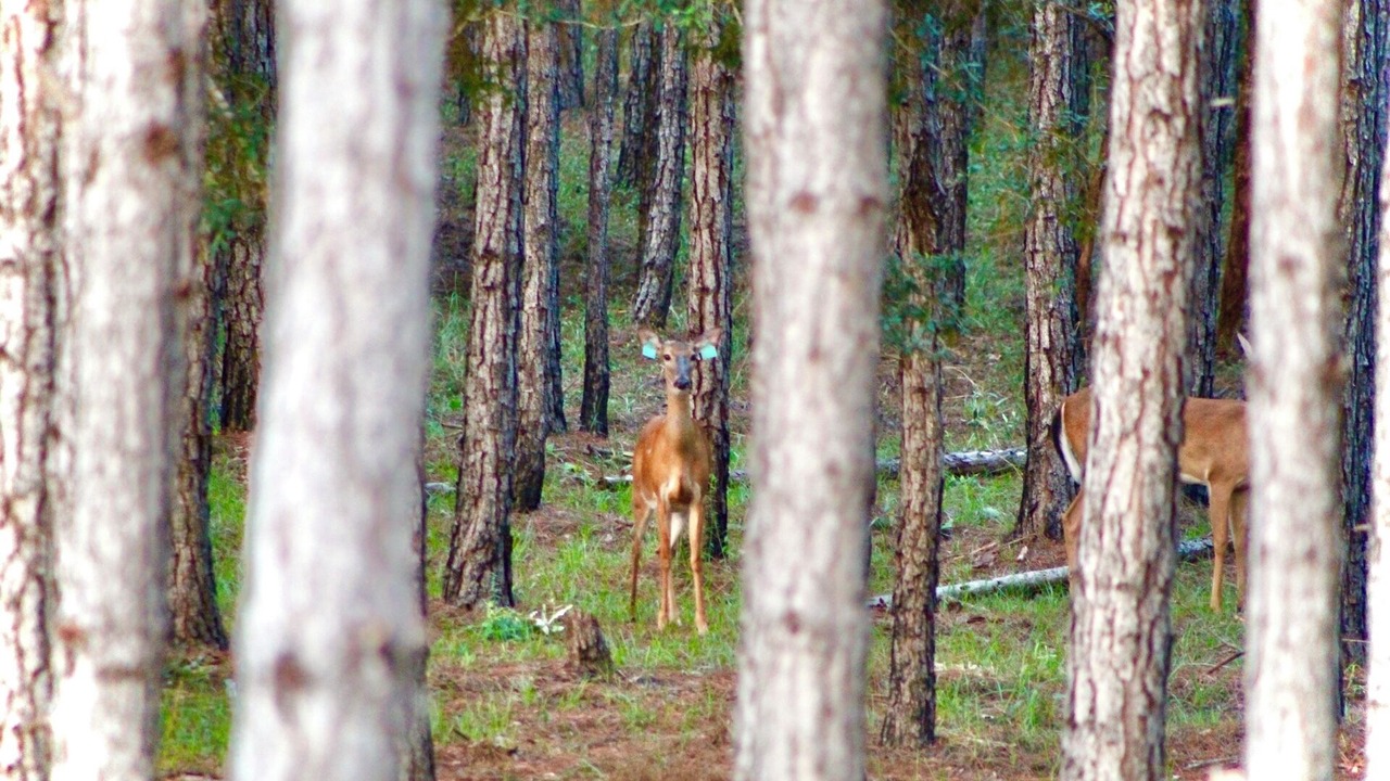 Photo of Outdoor in Salem
