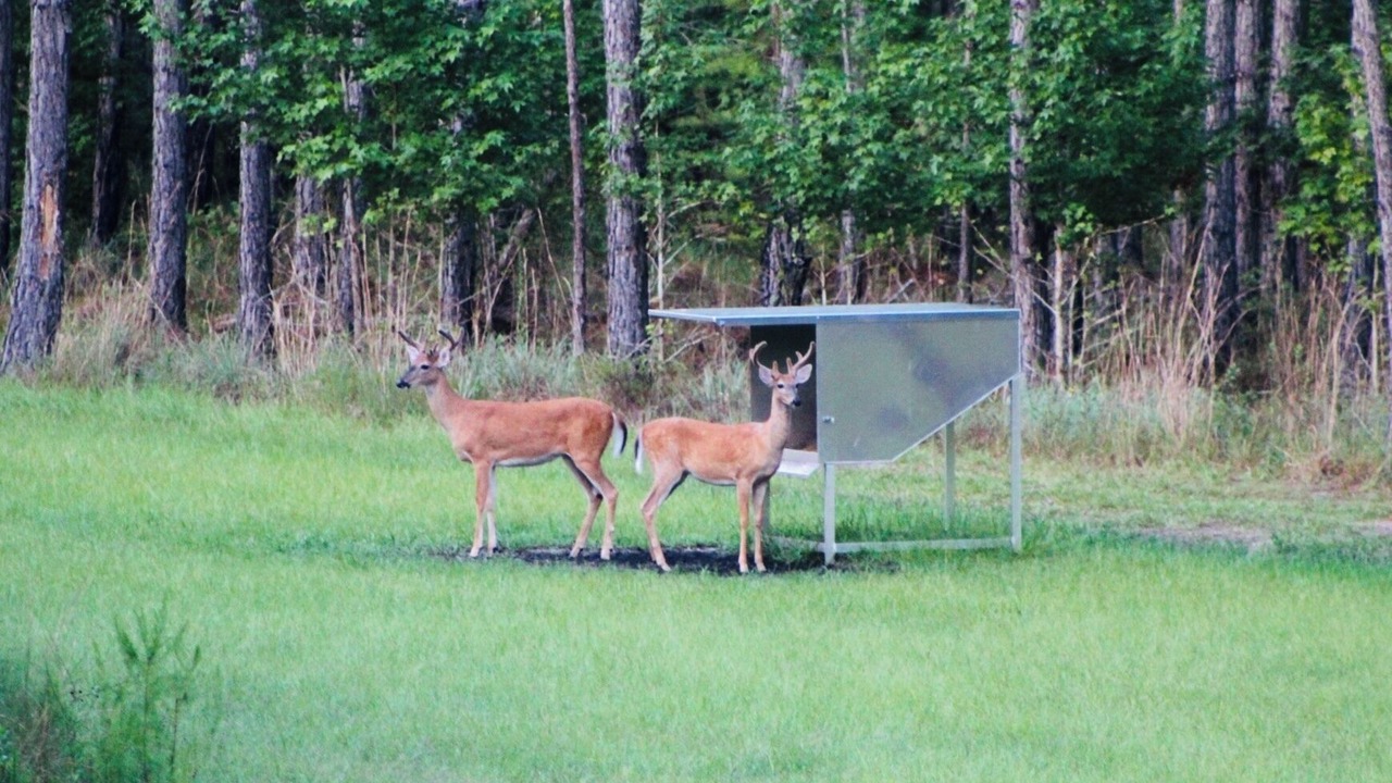 Photo of Outdoor in Salem
