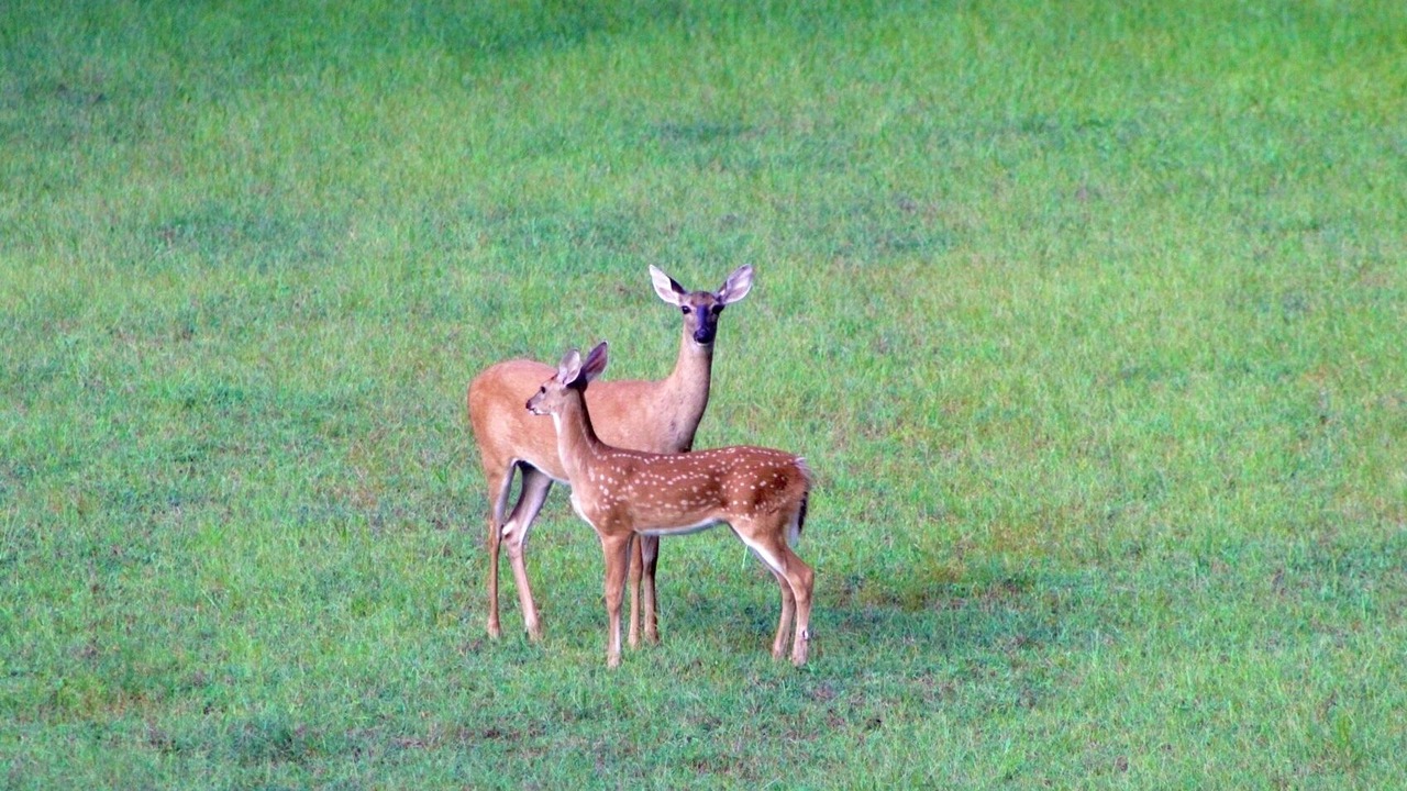 Photo of Outdoor in Salem