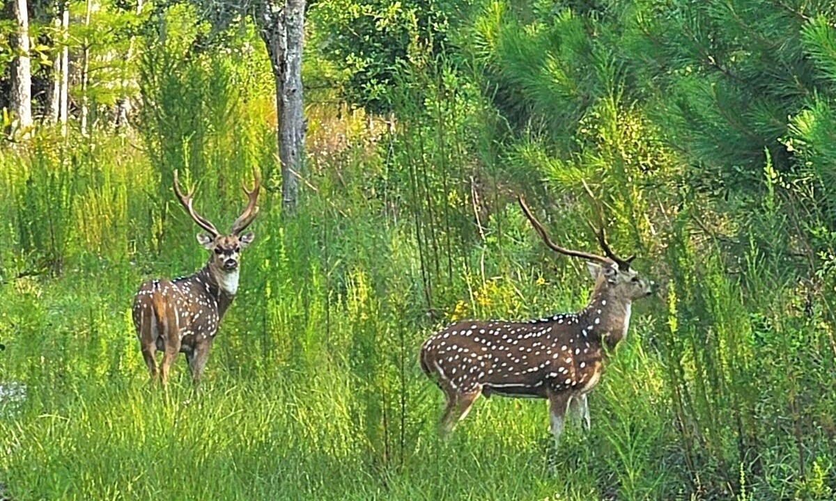 Photo of Others in Salem