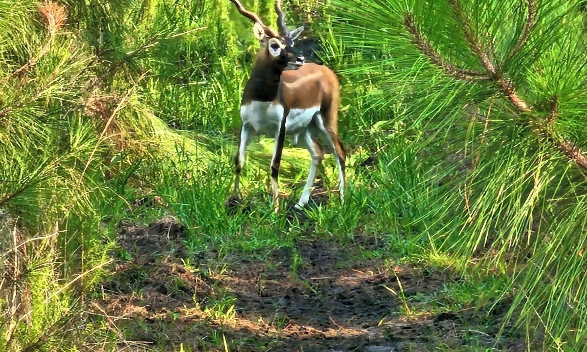 Photo of Others in Salem