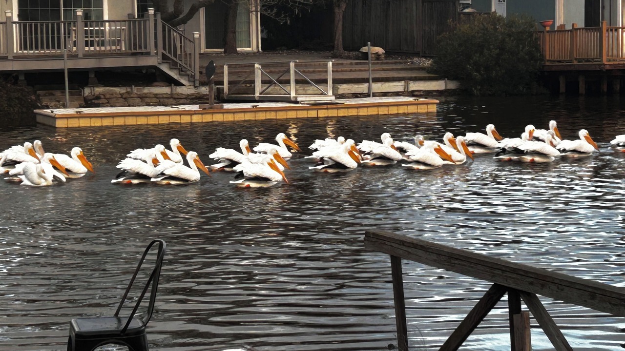 Photo of Others in Wilbur Springs