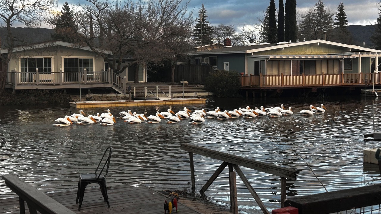 Photo of Others in Wilbur Springs