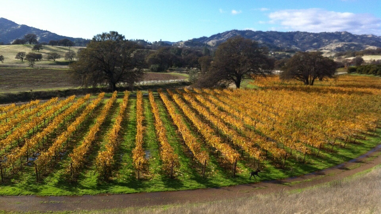 Photo of Others in Winters