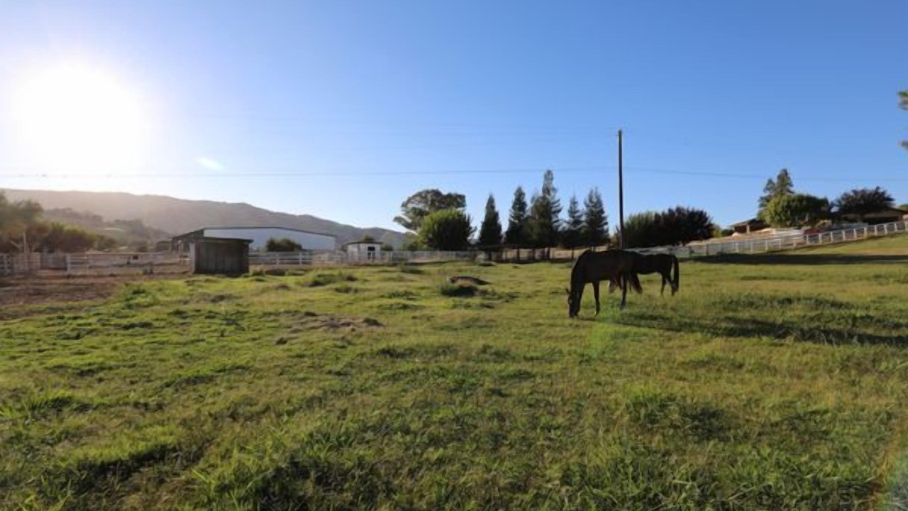 Photo of Others in Winters