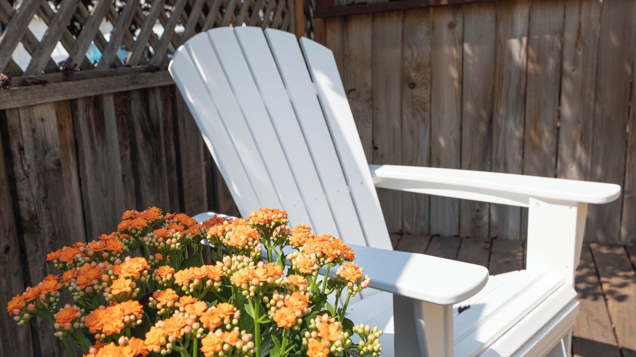 Photo of Outdoor in Santa Rosa