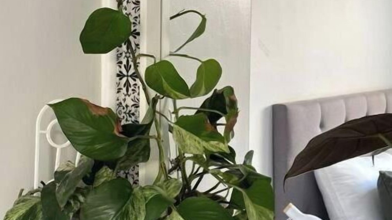 Photo of Others in Grange