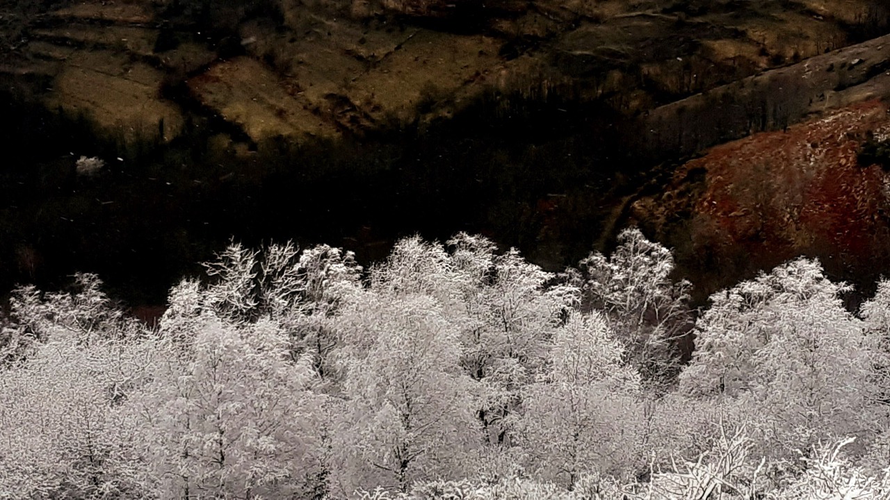 Photo of Others in Tarascon-sur-Ariege