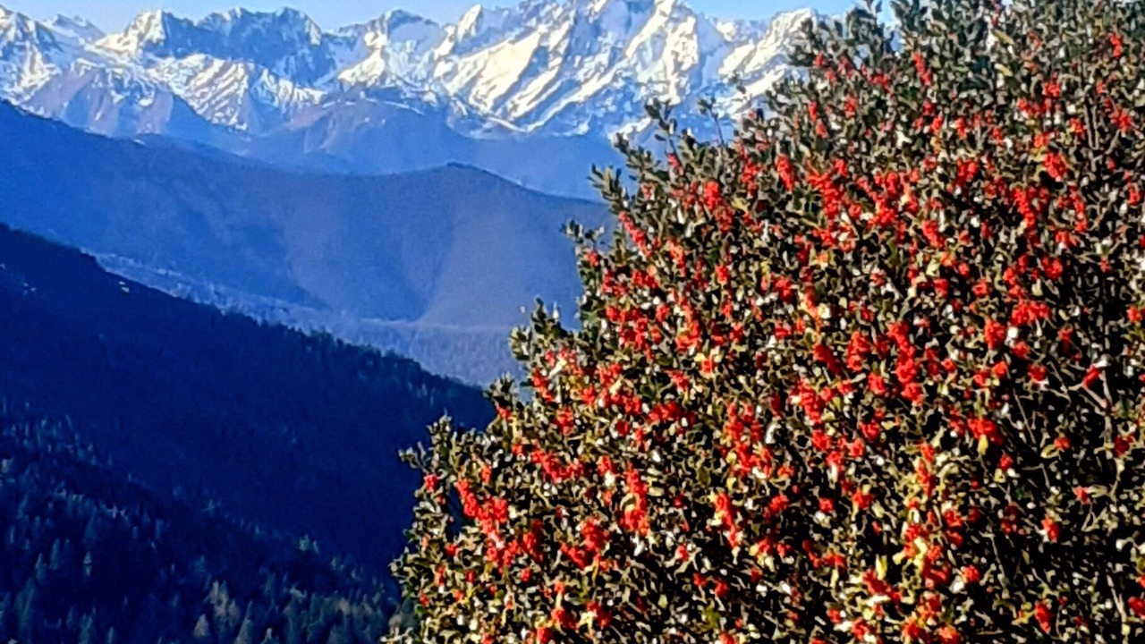 Photo of Outdoor in Tarascon-sur-Ariege