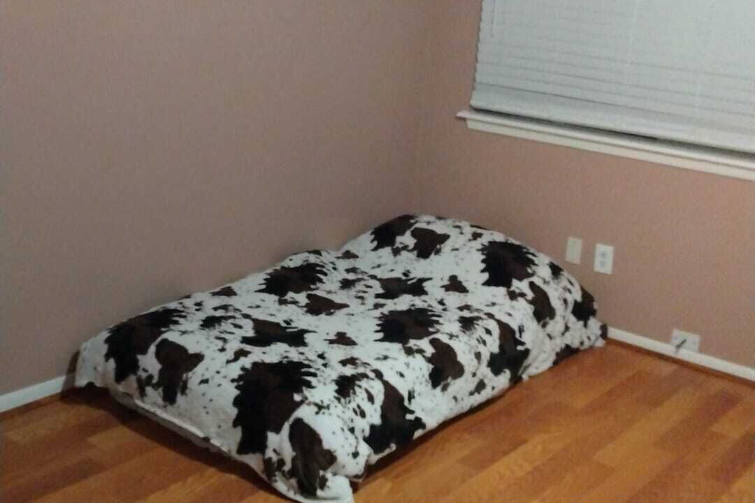 Photo of Bedroom in Spring Branch West