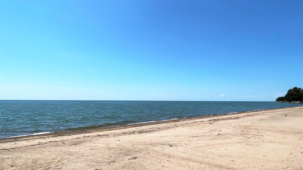 Photo of Others in Kingsville