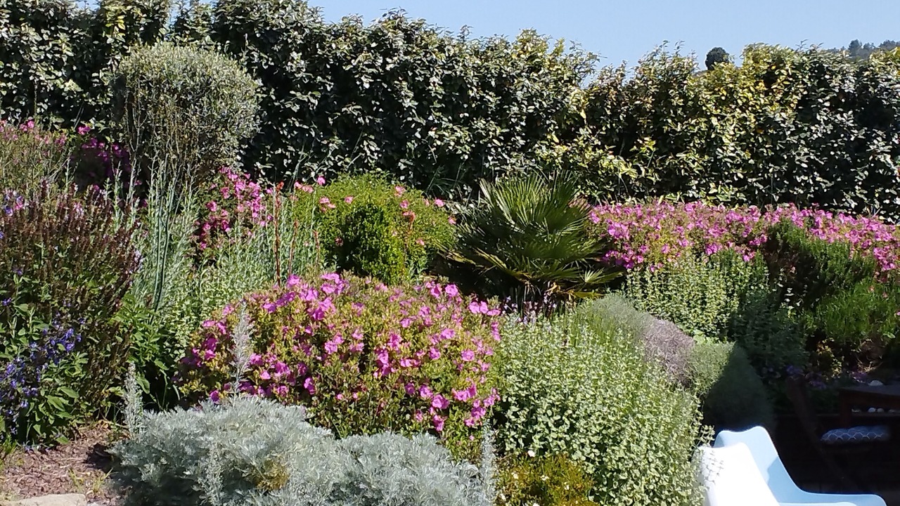 Photo of Outdoor in Limoux