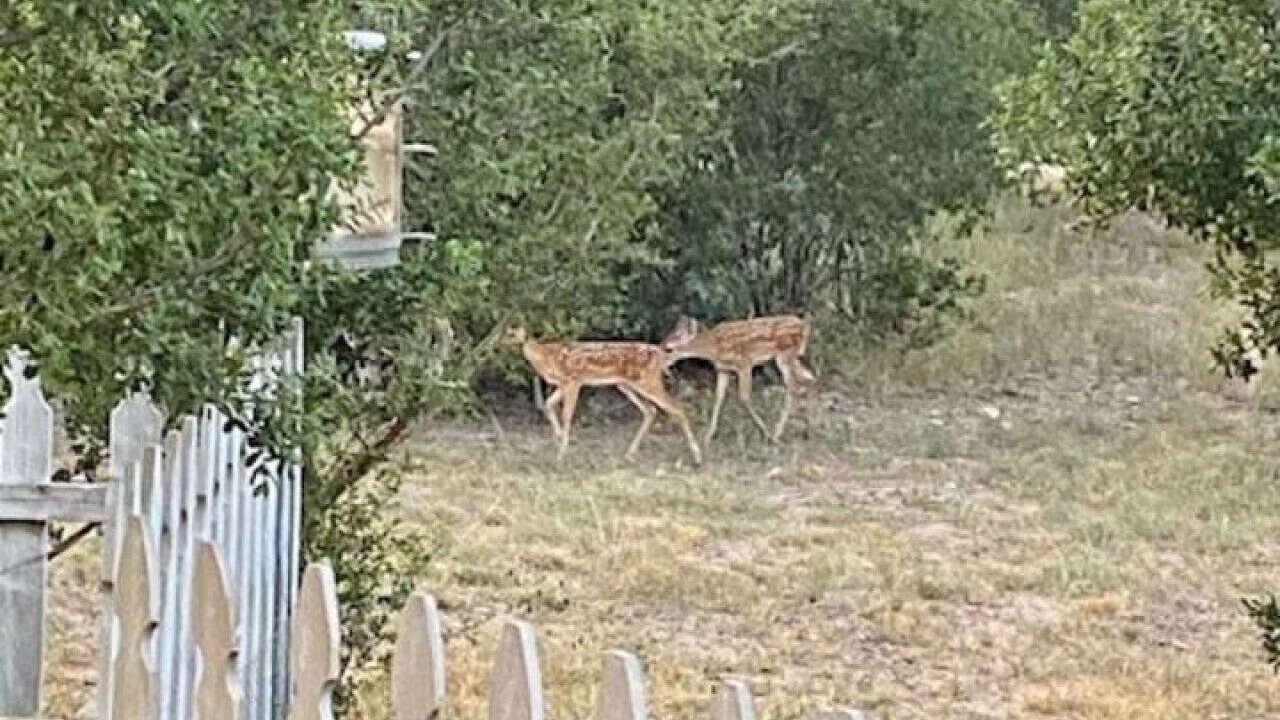 Photo of Others in Fredericksburg
