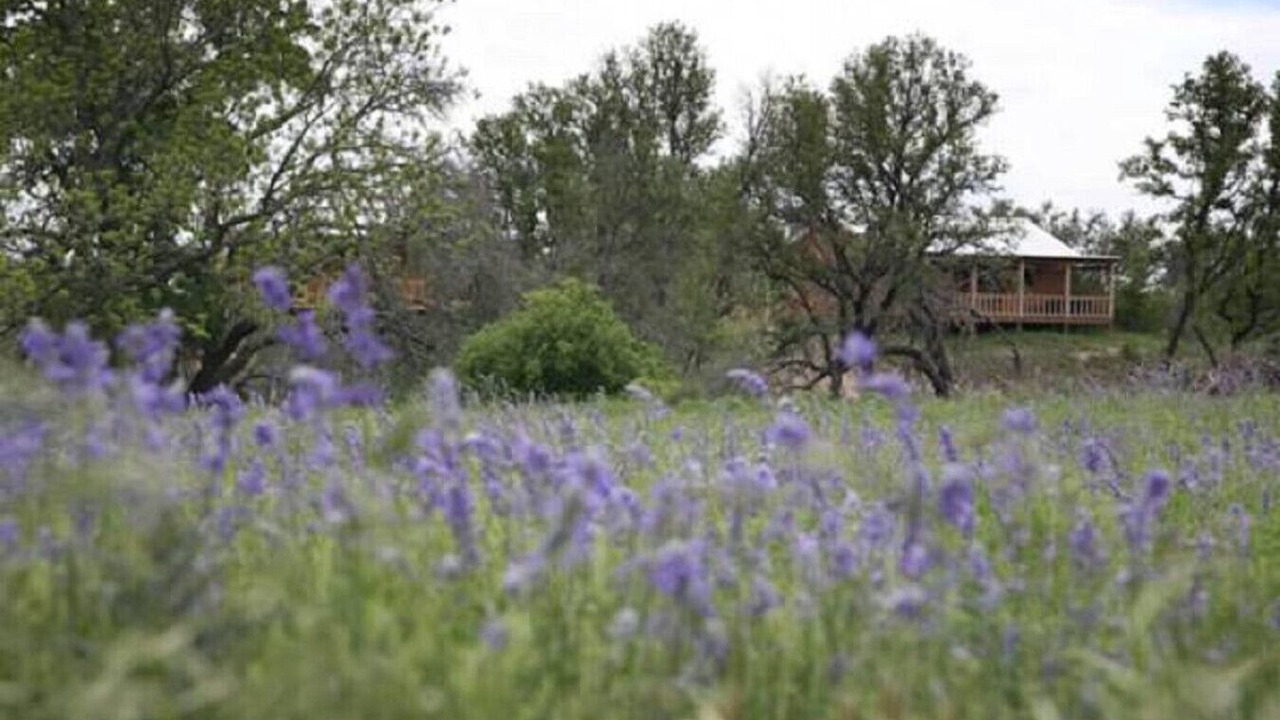 Photo of Outdoor in Fredericksburg