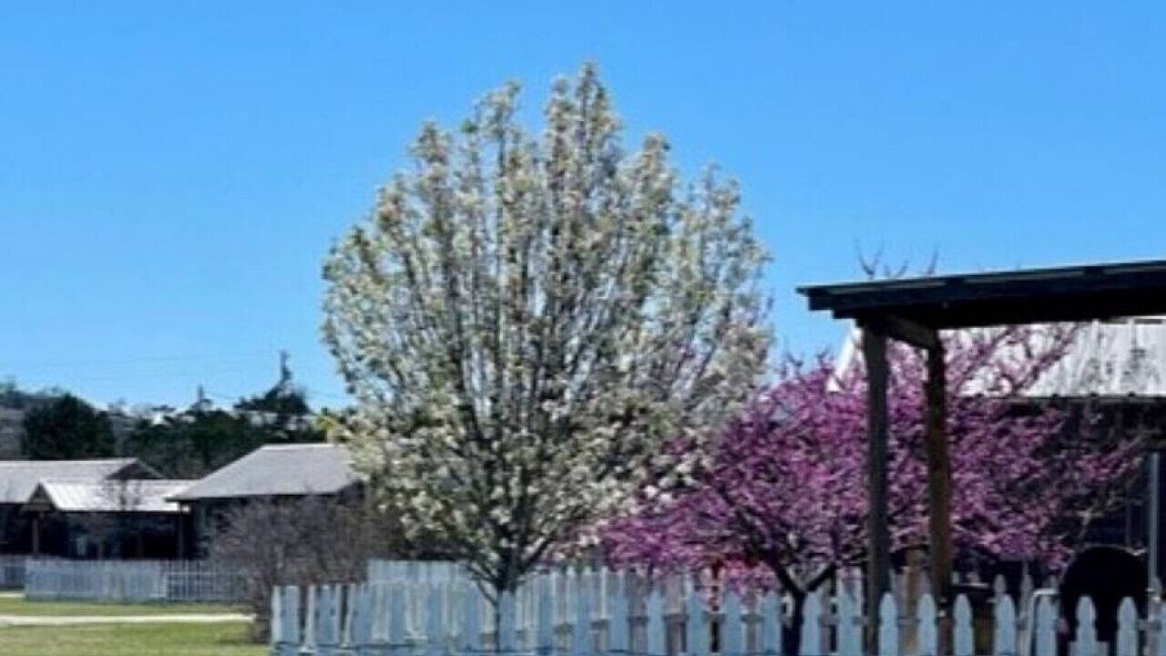 Photo of Outdoor in Fredericksburg