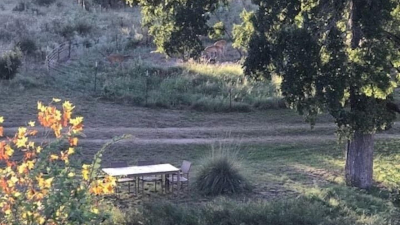 Photo of Outdoor in Fredericksburg