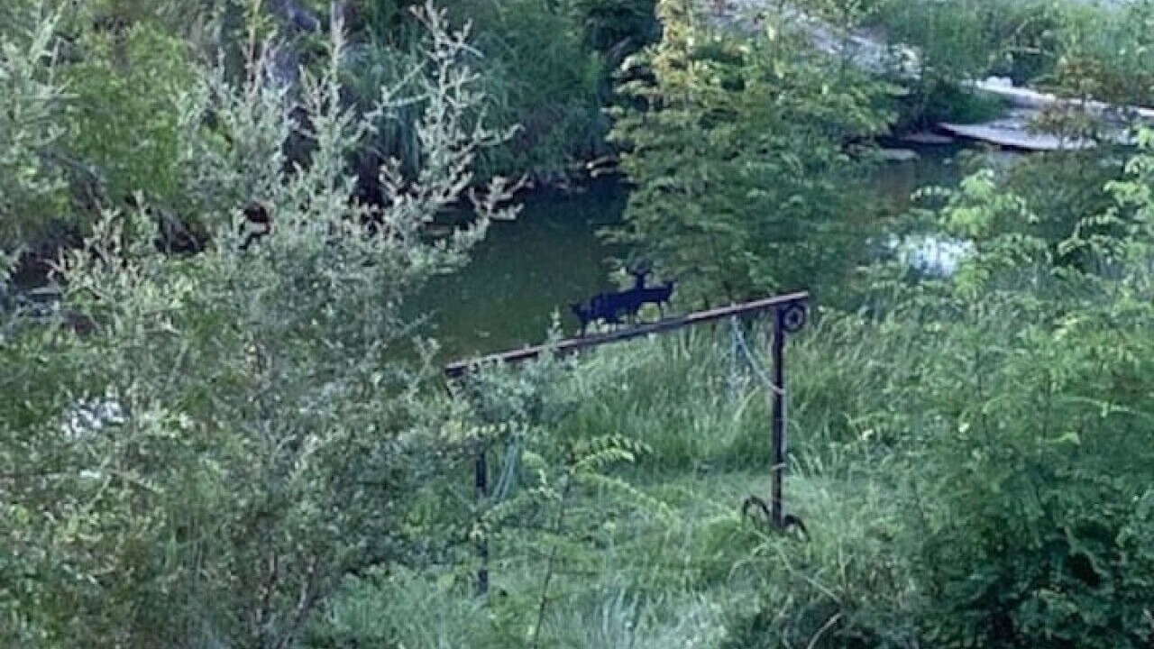 Photo of Others in Fredericksburg
