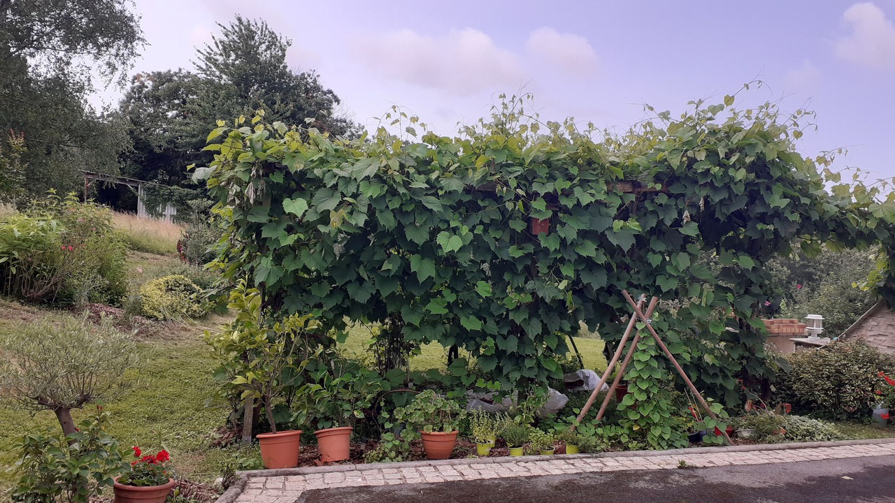 Photo of Outdoor in Saint-Faust