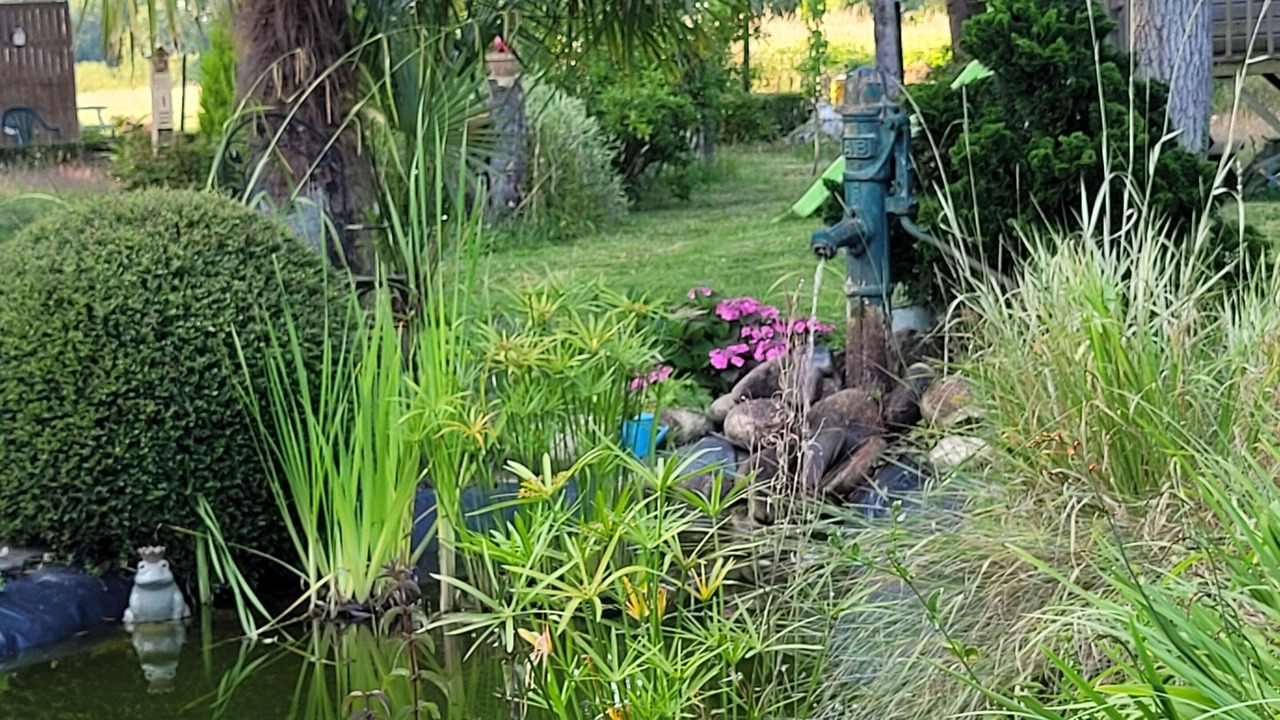 Photo of Outdoor in La Chapelle-aux-Filtzmeens