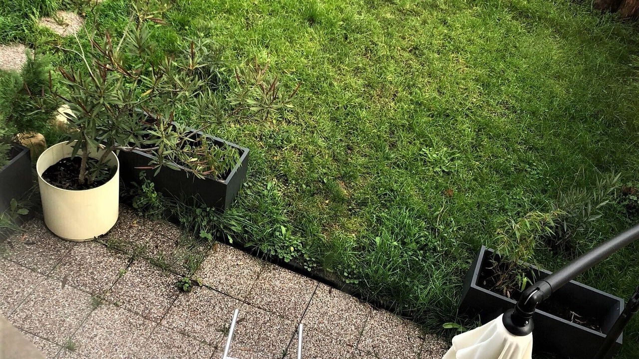 Photo of Outdoor in Boissy-Saint-Leger