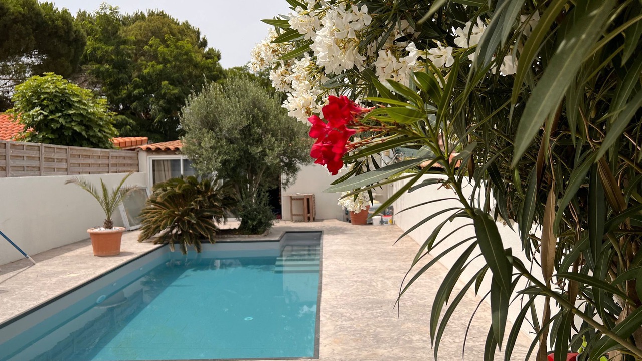 Photo of Outdoor in Le Port