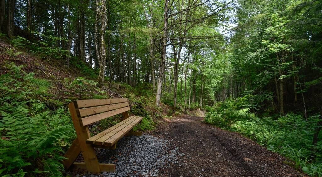 Photo of Outdoor in Pont-Rouge