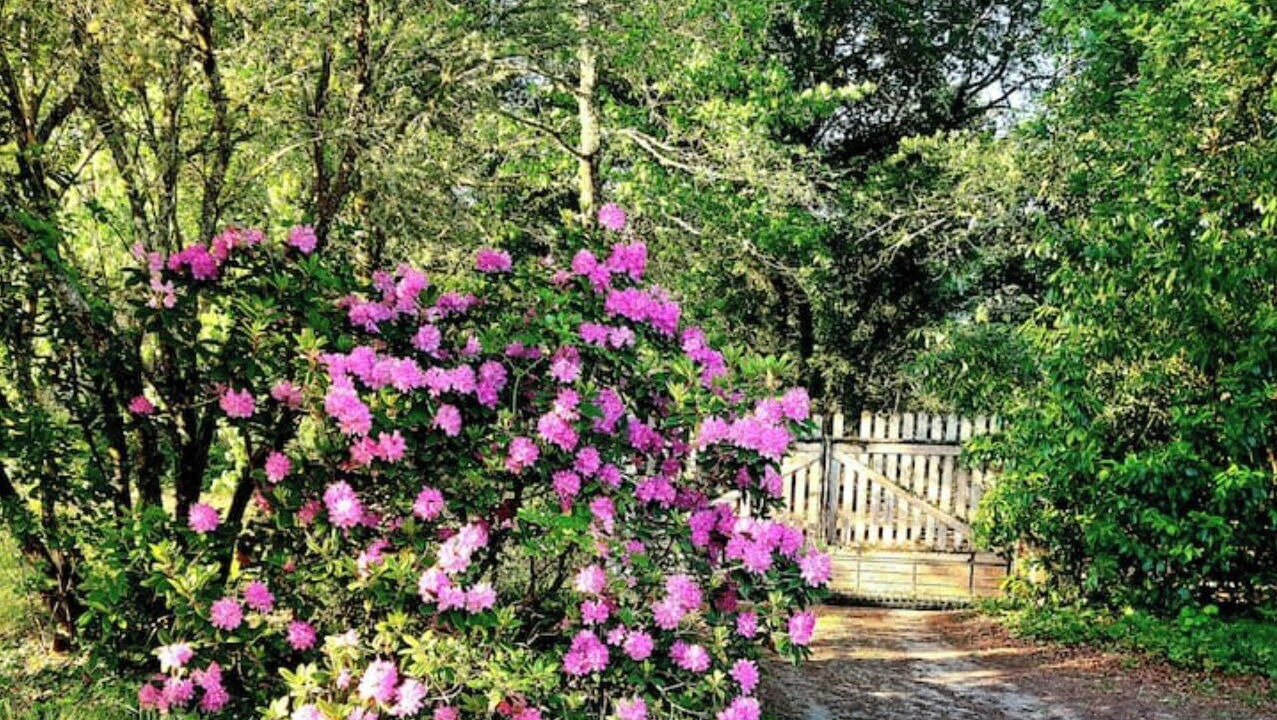 Photo of Outdoor in Arjuzanx