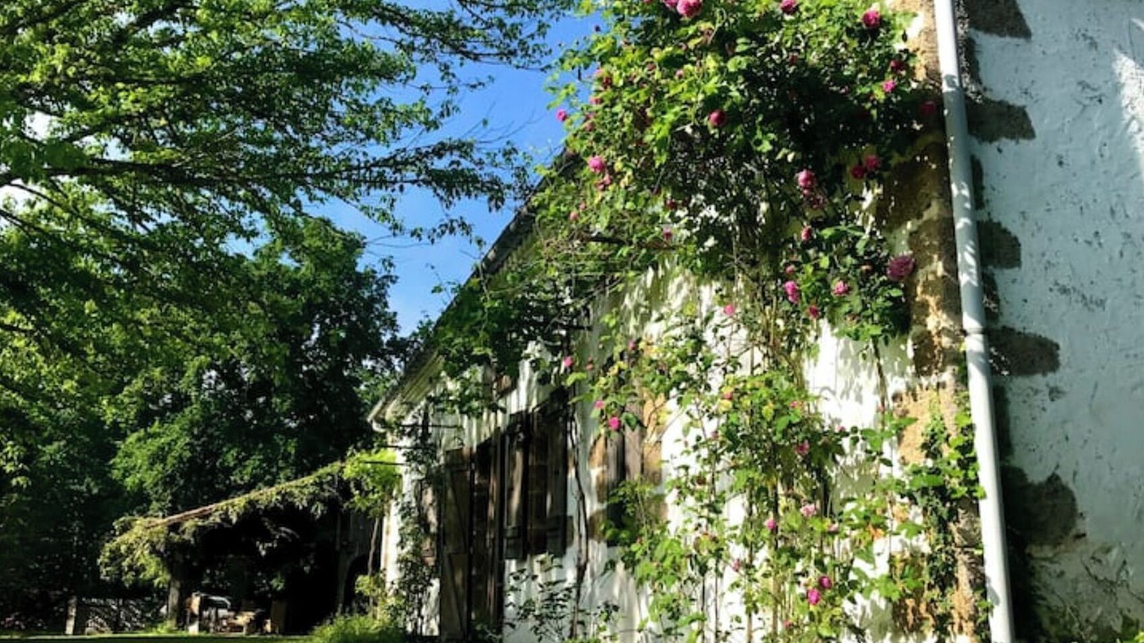 Photo of Outdoor in Arjuzanx