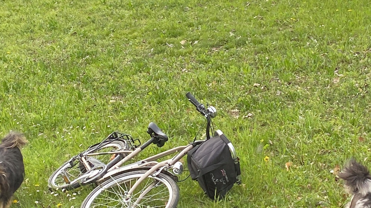 Photo of Others in Saint-Andre-en-Royans