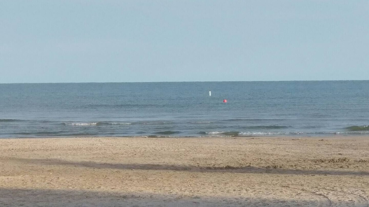Photo of Others in Wasaga Beach