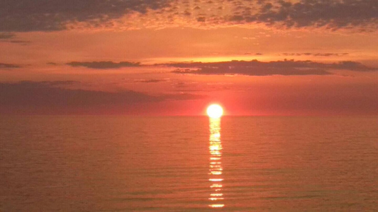 Photo of Others in Wasaga Beach
