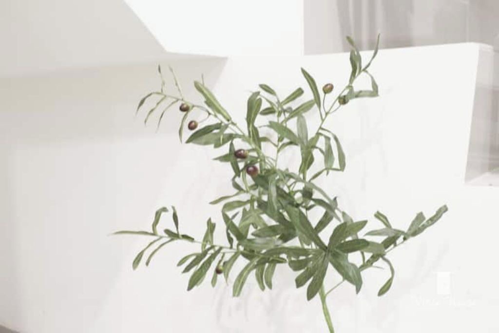 Photo of Others in Cikokol