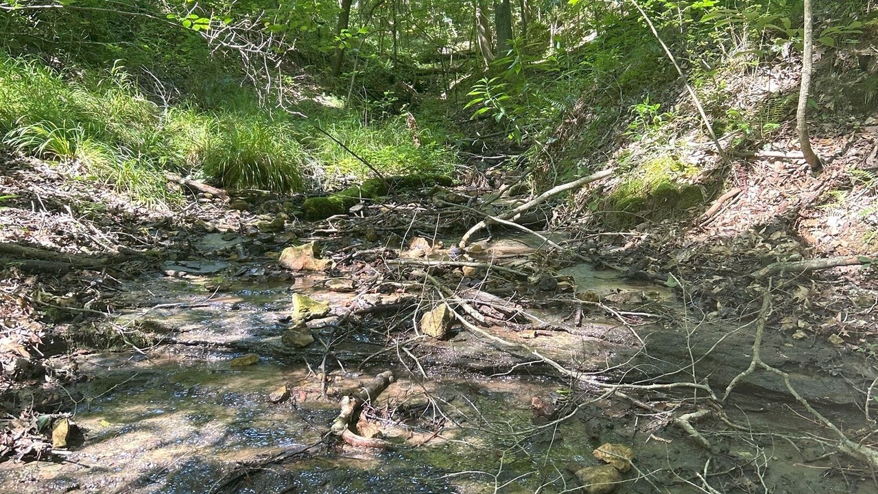Photo of Others in Mannsville