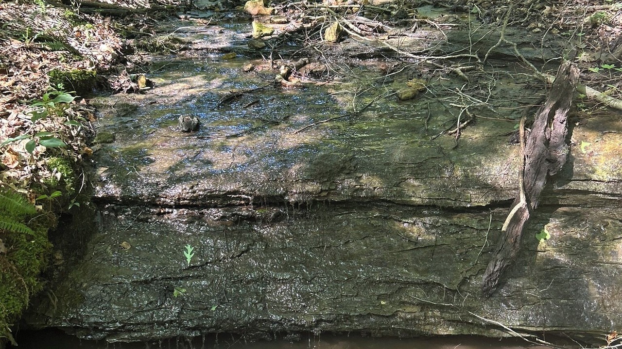 Photo of Others in Mannsville