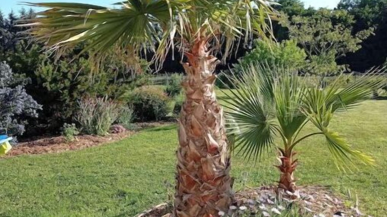 Photo of Outdoor in Pleurtuit