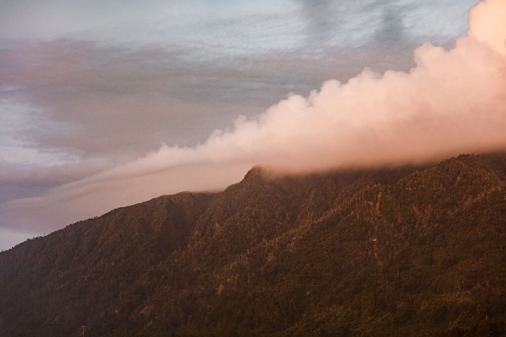 Photo of Others in Waimangaroa