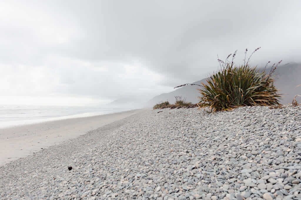 Photo of Others in Waimangaroa