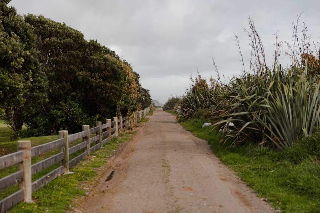 Photo of Others in Waimangaroa