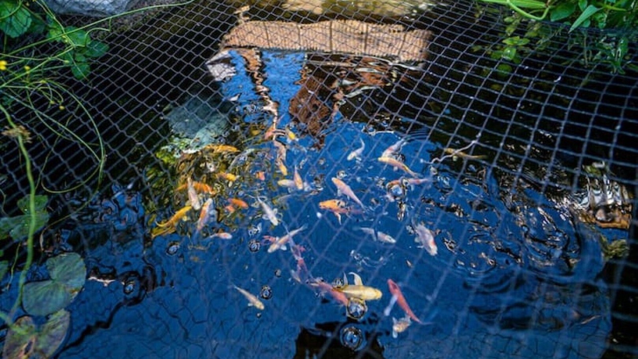 Photo of Outdoor in Leven