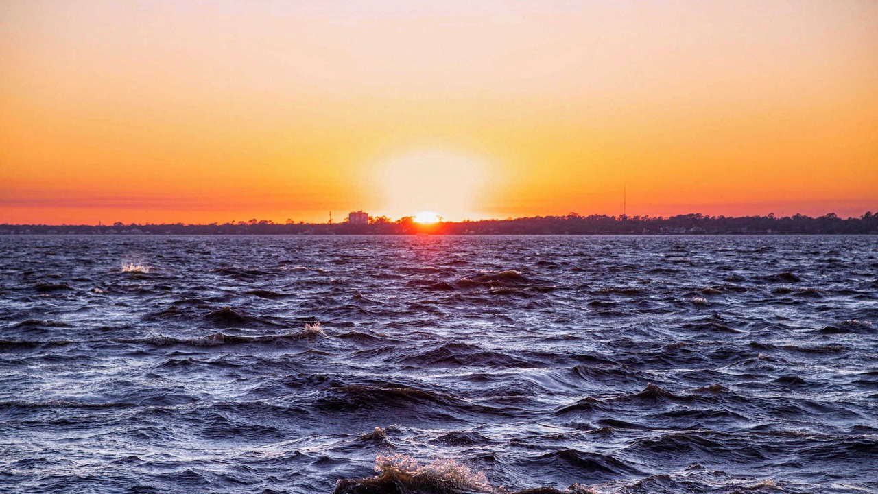 Photo of Others in Southbank