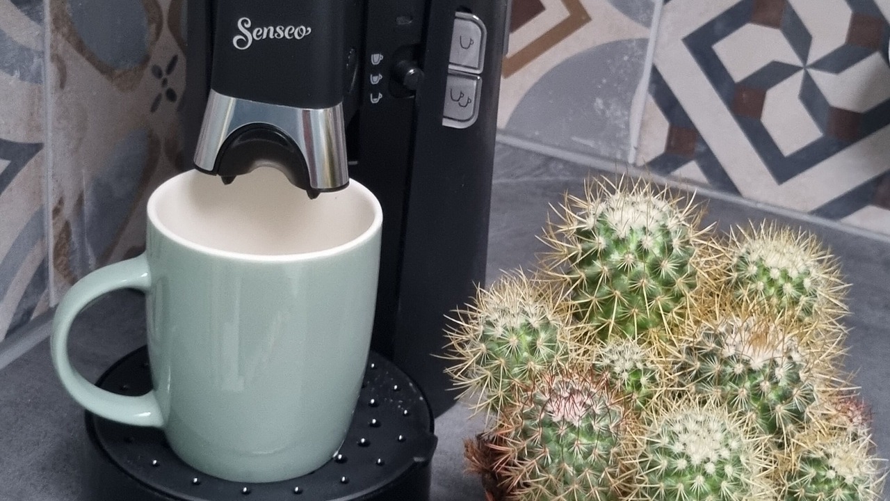 Photo of Others in Croix