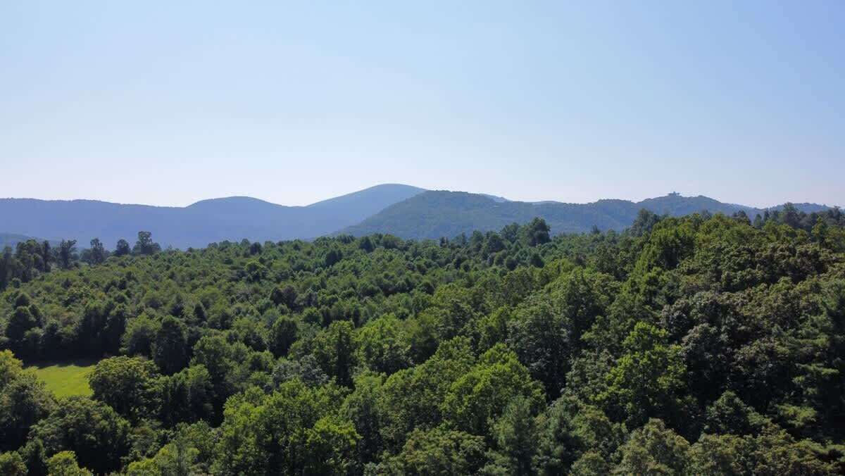 Photo of Others in Hendersonville