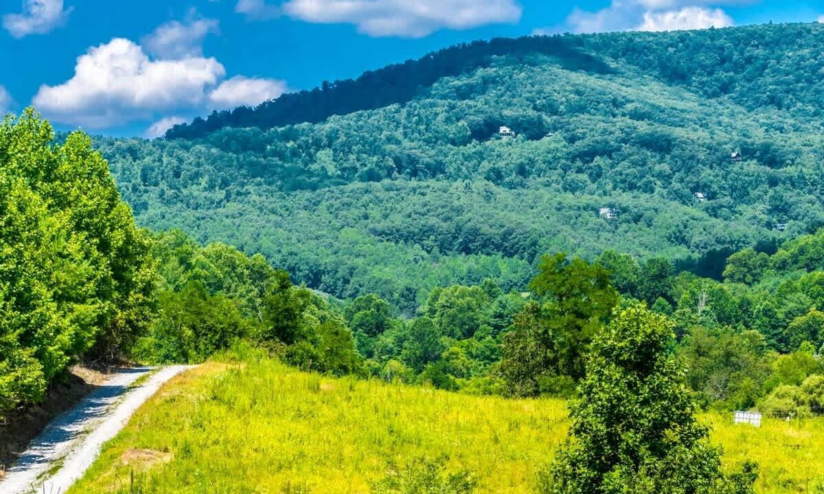Photo of Others in Hendersonville