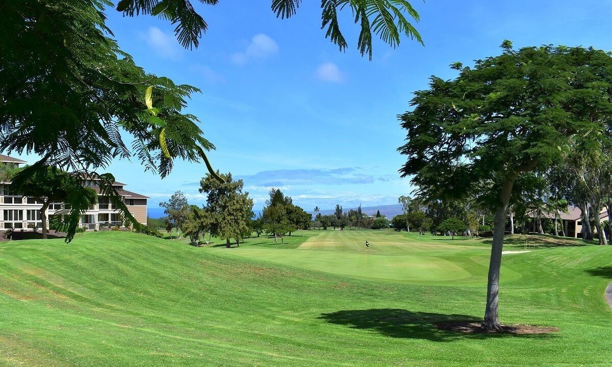 Photo of Others in Waikoloa Village